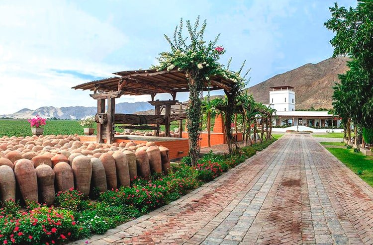 Ruta del Pisco